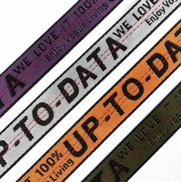 Custom Logo Wear Resistant Non-Elastic Jacquard Polyester Webbing for Bag Strap Pet Leash