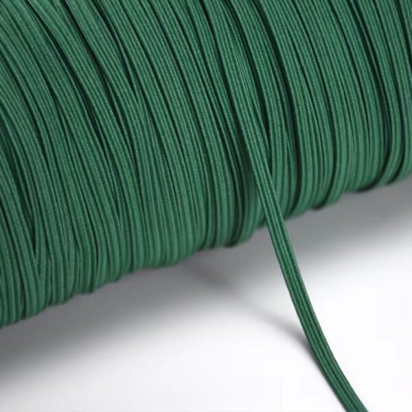 Detail-04 In Stock 5mm 6mm 9mm Multi-color Polyester Braided Elastic Band Elastic Braided Webbing for Apparel Shoes