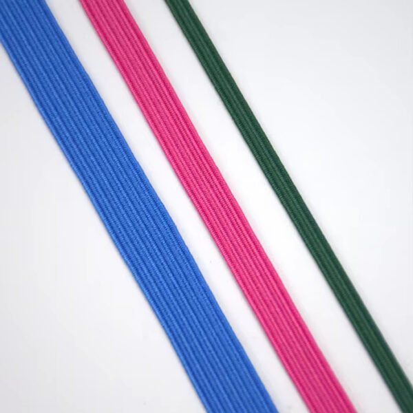 Detail-09 In Stock 5mm 6mm 9mm Multi-color Polyester Braided Elastic Band Elastic Braided Webbing for Apparel Shoes