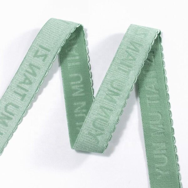 5-50mm Soft Skin Shiny Underwear Bra Elastic Band Anti-slip Plush Adjustable Resistant Bra Straps for Lingerie Women Sports Bra