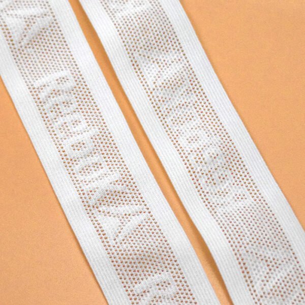 High Elasticity White Nylon Mesh Elastic Band for Underwear Clothing