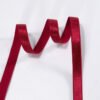 10mm Women Underwear Shiny Bra Stain Designer Shoulder Strap Soft Nylon Elastic Band for Clothing Accessories