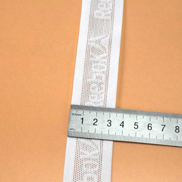 High Elasticity White Nylon Mesh Elastic Band for Underwear Clothing