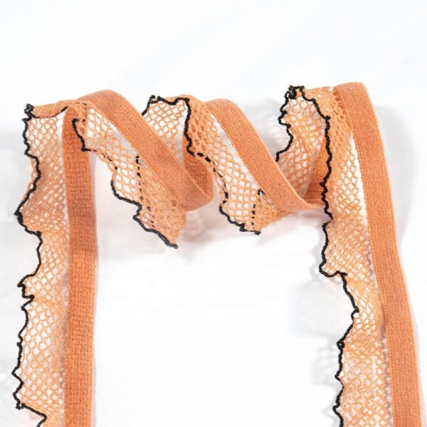 Main-27 High Quality Underwear Bra Elastic Band With Picot Soft Narrow Picot Elastic Web Band Decorative Elastic Tape
